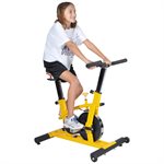 Stationary Bike with Work Desk