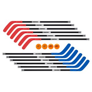 12 bâtons de hockey 45", 2 balles, 2 rondelles