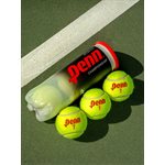 3 Penn Extra Duty Felt Tennis Balls, Yellow